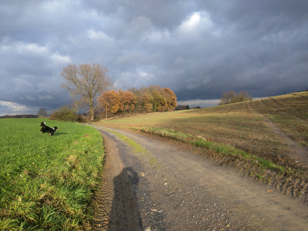 Ontdek de magie van wol in een wolatelier - open beleefmoment - Herbalana