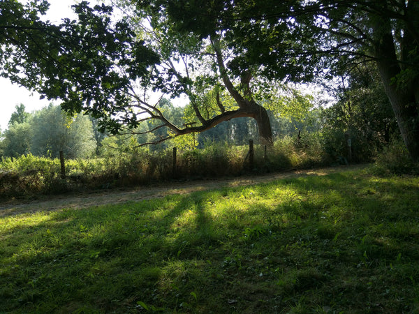 Ontdek de magie van wol in een wolatelier - open beleefmoment - Herbalana