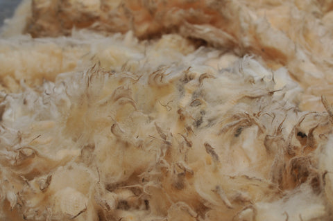 Wol uit de vacht : Swifter gesorteerd, ongewassen - Herbalana