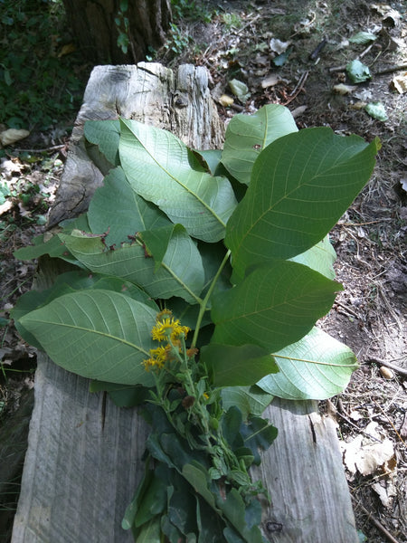 Saori - Art Yarn  'wolvertemse beemden' 100 % wol - Herbalana